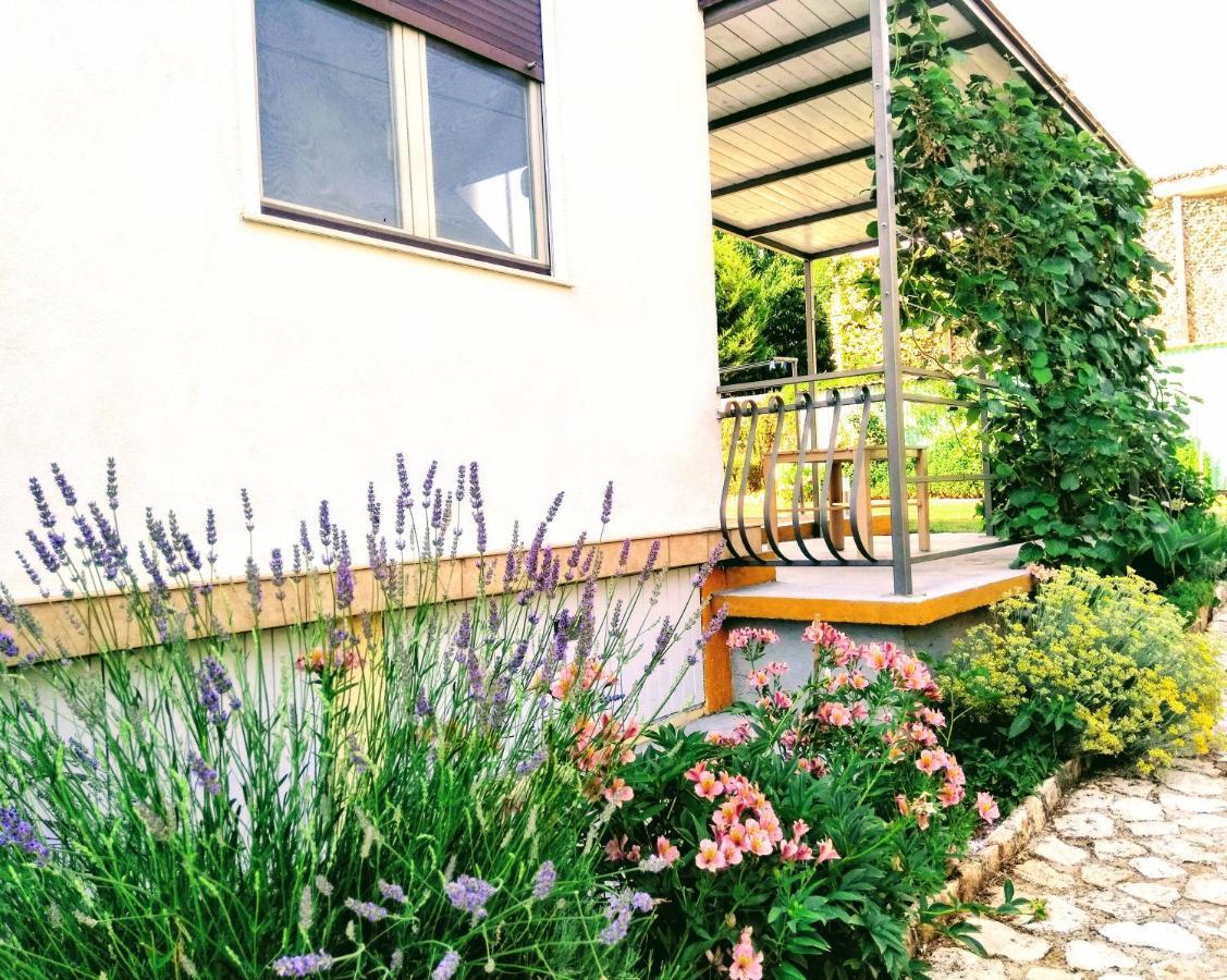 Apartments And Room Markovic Rovinjsko Selo Exterior foto