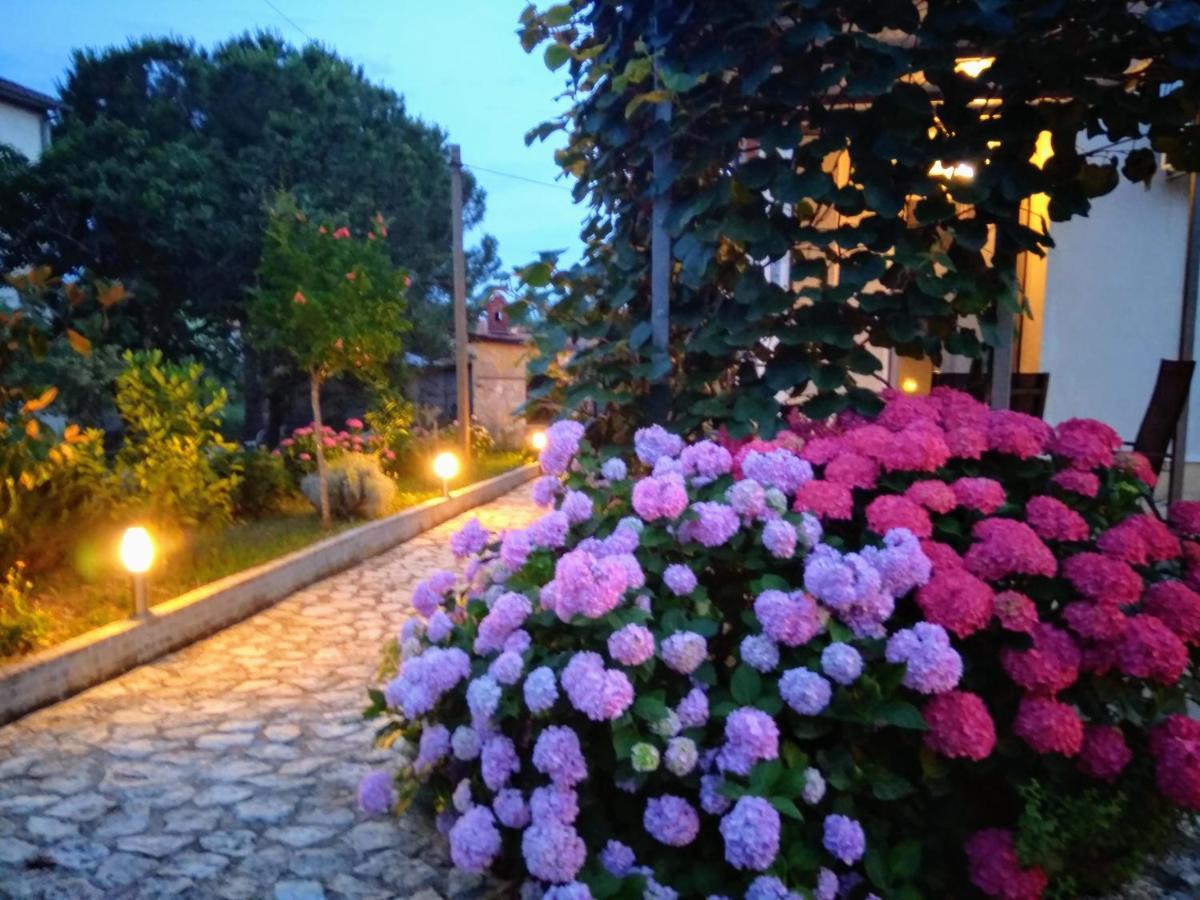 Apartments And Room Markovic Rovinjsko Selo Exterior foto