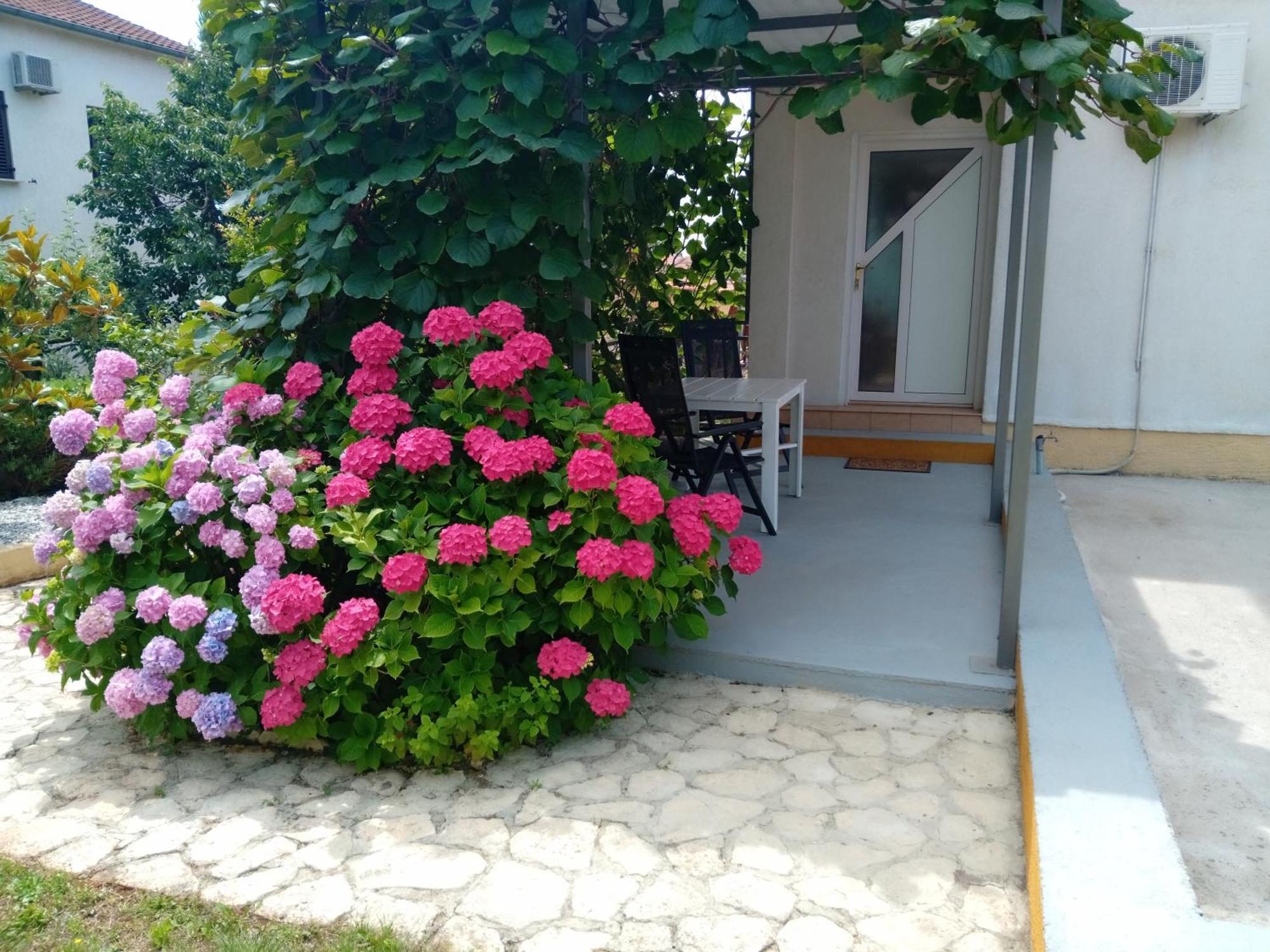 Apartments And Room Markovic Rovinjsko Selo Exterior foto