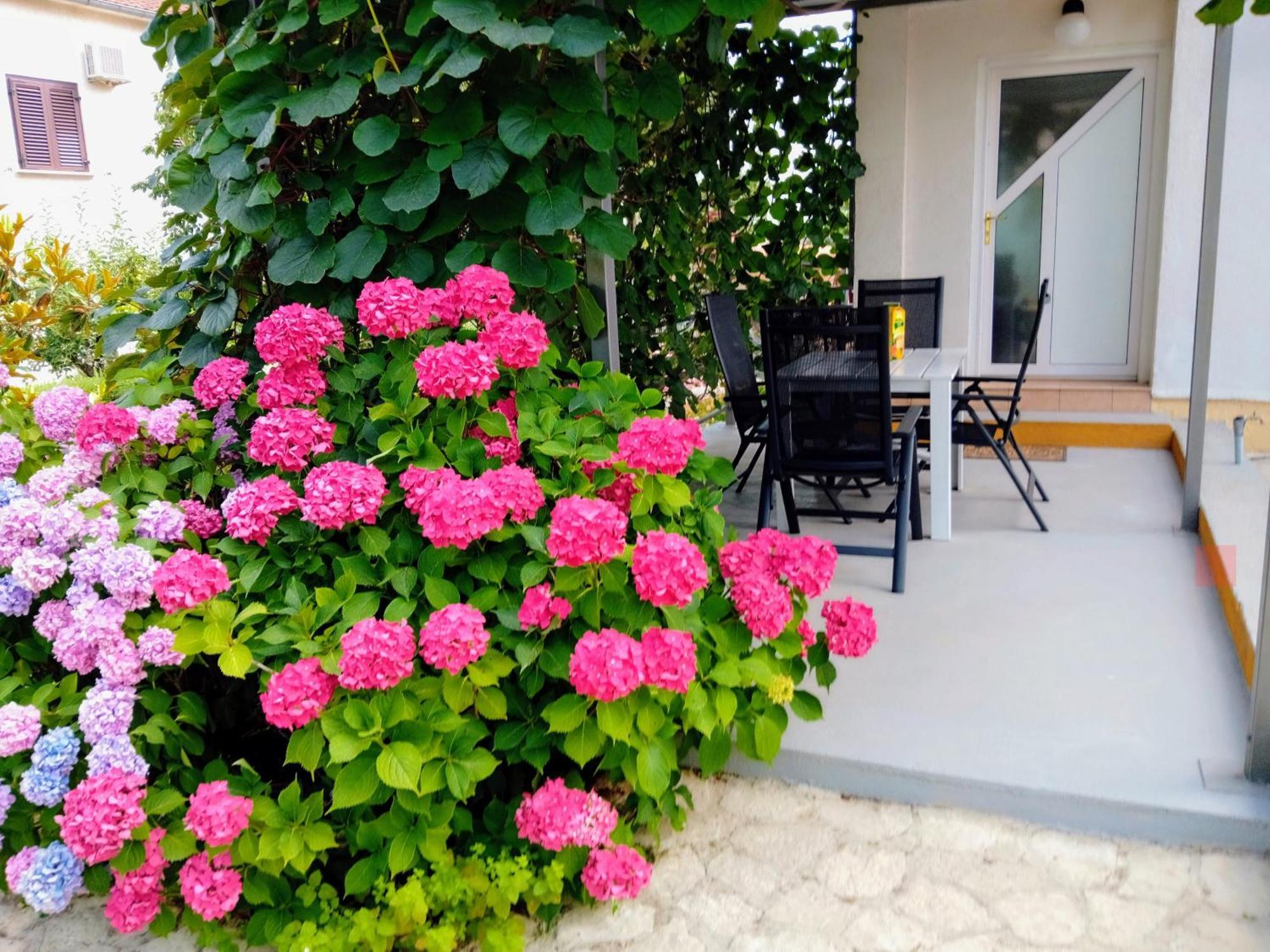 Apartments And Room Markovic Rovinjsko Selo Exterior foto