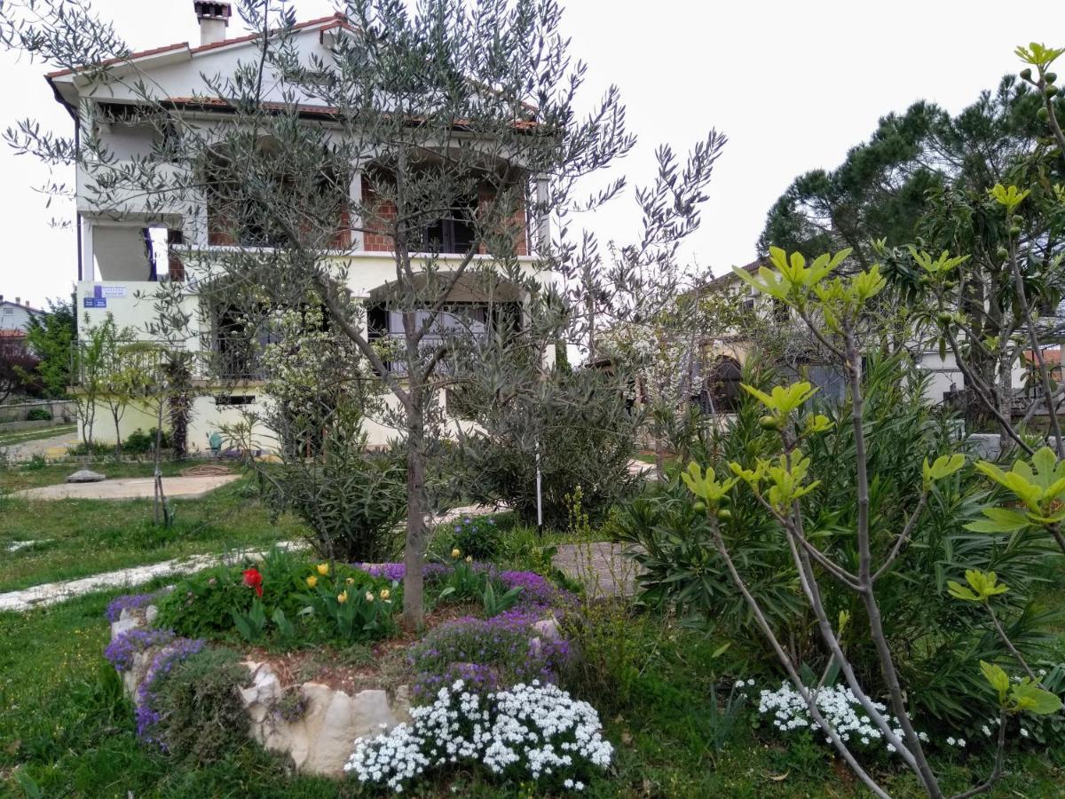Apartments And Room Markovic Rovinjsko Selo Exterior foto